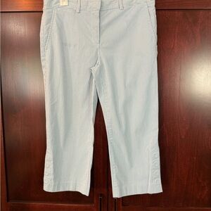 Theory Blue Striped Capris